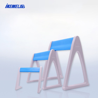 Support de pipette triangulaire IKEME LAB, support de micropipette, support de pipette