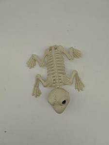 Accesorios de Broma para Halloween - <span class=keywords><strong>Esqueleto</strong></span> de Rana 3D de Plástico Impermeable Accesorios para Exteriores - <span class=keywords><strong>Esqueleto</strong></span> de Animal para Bromas y Diversión - Product Image 6
