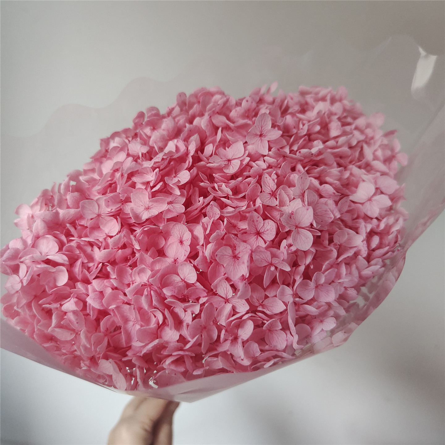 Middle pink , 18-21 cm