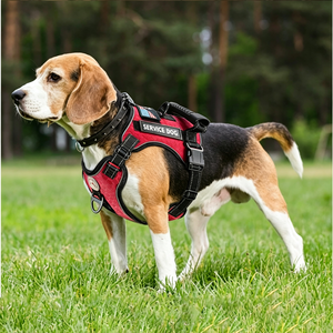 New Explosion-Proof Shock Absorbing Dog Towing With Night Vision Reflective Pet Dog Vest - Product Image 6