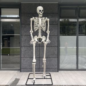 Décorations d'Halloween folles <span class=keywords><strong>de</strong></span> 10 pieds, certaines tailles mobiles, squelette d'Halloween en plastique grandeur nature, taille grande, à vendre - Product Image 5