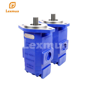 Pompe à engrenages hydraulique Lexmua P124B085AHZA15 1 étage, usage industriel - Product Image 3