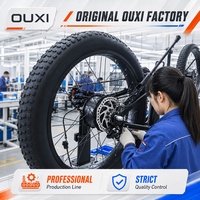 Vélo électrique de ville OUXI 24 pouces V8 Pro 250W 48V, vélo électrique à pneus larges pour adultes, idéal pour les trajets quotidiens