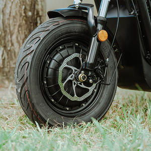 Scooter Eléctrico D+ de un Solo Motor, 48V 500W, Freno de Disco, Marco de Acero Ligero, Transportador para Mascotas, Perros Medianos a Grandes - Product Image 5