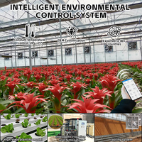 Système d'agriculture hydroponique en serre commerciale à faible coût, film de serre à vendre
