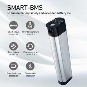 Batterie au lithium Coral haute performance 36V 10Ah 12Ah 14Ah, remplacement parfait pour le vélo électrique pliable <span class=keywords><strong>HIMO</strong></span> Z16 <span class=keywords><strong>Z20</strong></span> ZB20 - Product Image 6