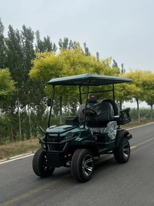 Meilleure vente de voiturette de golf électrique 4 places à l'aéroport <span class=keywords><strong>Meilleur</strong></span> prix Blue Lifted Golf Buggy - Product Image 3