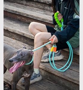 طوق وحبل للكلاب من النايلون الملون مع خطافين، حزام متعدد الوظائف بدون استخدام اليدين مع مقبض من الفوم الناعم EVA، حزام للحيوانات الأليفة مضاد للانفجار مع سلسلة P - Product Image 2