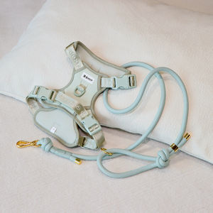 Sunraymascota поводок для собак - Product Image 2