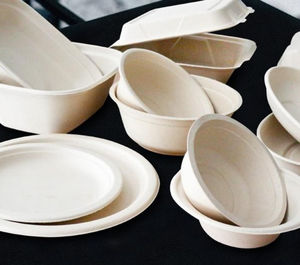 Tam otomatik hamuru kalıplama üretim hattı Bagasse yemek kabı sofra makinesi buğday küspe kağıt tabak yapma makinesi - Product Image 6