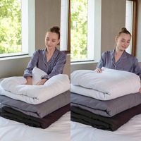 Échantillon gratuit Couette alternative Queen Size Couette blanche Couette douce Couette en microfibre Couette légère et respirante