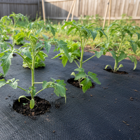 Toile tissée en plastique robuste pour le contrôle des mauvaises herbes, plusieurs tailles, haute perméabilité à l'eau, pour barrière anti-herbe de jardin, rouleau de tissu