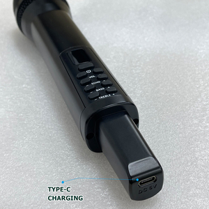 Professional Portable Karaoke Echo Bass 2.4 Ghz <b>Wireless</b> <b>Microphone</b> Rechargeable - Product Image 4