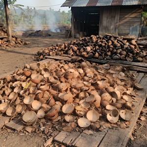 เปลือกมะพร้าวครึ่งซีกสีน้ำตาลธรรมชาติสำหรับงานฝีมือและการเกษตร - Product Image 6