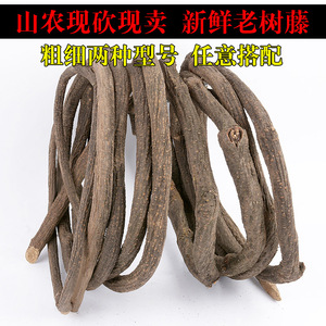 เถาวัลย์ตกแต่งซินเล่ย์ 5 เมตร หนาแน่น สไตล์ธรรมชาติ สำหรับตกแต่งสวน - Product Image 3