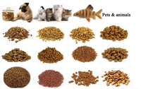 Extrudeuse d'aliments pour animaux de compagnie entièrement automatique 100-150 kg, ligne de production d'aliments secs pour chiens et chats, machine de fabrication d'aliments pour animaux