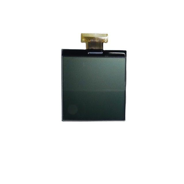 160x160 FSTN Positive Flexible Graphic LCD Transparent Display Module with 64x60mm Outline and UC1698u Driver IC