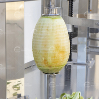 Eplucheuse automatique de peau de melon citrouille d'hiver à double tête Eplucheuse d'ananas Taro Pawpaw