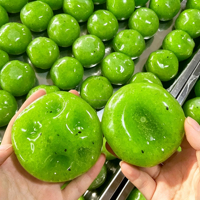 Jouet anti-stress en TPR souple de 6 cm en forme de kiwi simulé, fait main, avec son de gelée pétrolée, sans rebond