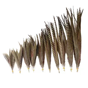 Женские перья Амхерст фазана для продажи большие белые перья большие перья белые