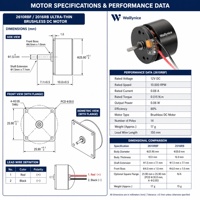 Moteur BLDC sans noyau plat Waillynice 2016RB 20 mm 12 V 10 000 tr/min pour machine à tatouer rotative, outils de micro-pigmentation (PMU) et de broderie