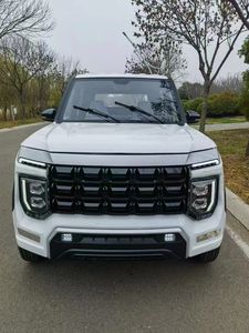 2023 nouveau modèle de voiture électrique de haute qualité 4x4, pick-up électrique à Double cabine avec batterie au plomb/batterie au Lithium - Product Image 5