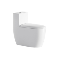 Vente en gros directe usine Cuvette de toilettes WC en céramique monobloc moderne à double chasse (chasse directe et siphonique) avec siphon en P/S