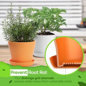 Kit de jardí<span class=keywords><strong>n</strong></span> de hierbas Regalos únicos de jardinería para mujeres <span class=keywords><strong>8</strong></span> Variedad Kit de jardí<span class=keywords><strong>n</strong></span> de hierbas culinarias Interior y exterior - Product Image 6
