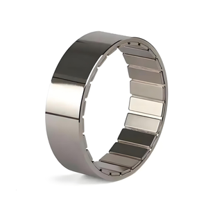 Aimant industriel super puissant pour générateur, aimant en arc en NdFeB fritté avec revêtement NiCuNi pour moteur à courant continu sans balais (BLDC) - Product Image 2
