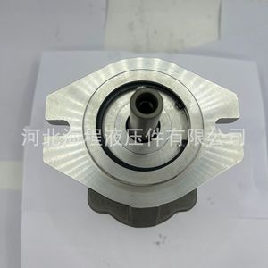 Pompe hydraulique Haicheng Hydraulics CMFDA-320 pour moteur de ventilateur de pompe à eau, type à arbre vertical, à débit fixe - Product Image 4
