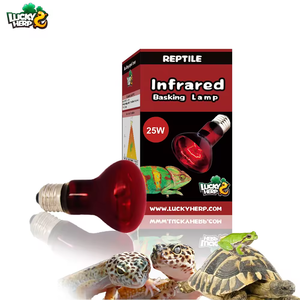 Sıcak satış 75W <span class=keywords><strong>100W</strong></span> kırmızı kızılötesi Basking ısı ampul klasik tarzı kertenkele 2500 cam sürüngen <span class=keywords><strong>UVB</strong></span> için ev hayvanı ürünü saat ömrü lamba - Product Image 5