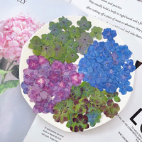 Fiori di Ortensia Essiccati e Pressati all'Ingrosso per Decorazioni Fai-da-Te, Segnalibri in Resina, Gioielli, Cartoline e Cover per Telefoni