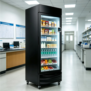 Refrigerador Inteligente con IA para Hoteles - Capacidad de 600L, Uso en Exteriores, con SDK, Pago con Tarjeta de Crédito y Monitoreo Remoto - Product Image 1