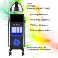 AI Analyzer Multifunctional Facial Machine Clean Facial 11 in 1 Tightening Small Bubble Facial Microdermabrasion Machine