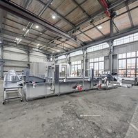 MINGFAN Volledig Automatische Aardappelchips Productielijn Machines met een capaciteit van 100-3000 kg/uur, aanpasbare spanning en afmetingen