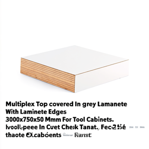 Fami Multiplex Top recouvert d'un stratifié gris avec bords stratifiés 3000x750x50 mm pour armoires à outils - Product Image 3