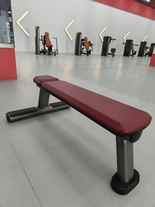 Banco de entrenamiento plano de alta resistencia para entrenamiento de fuerza Marco de acero duradero con cómodas máquinas de selección de carga de pines de relleno - Product Image 5