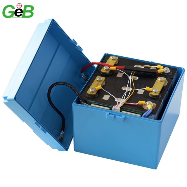 12v 100A Electric Battery LiFePo4 Battery LFP 100Ah 24v 100ah Lifepo4 Battery for Electric Tricycle