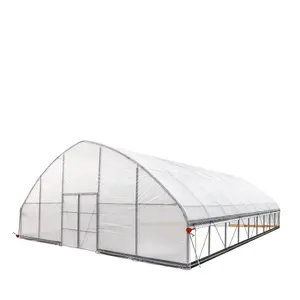 Invernadero Polytunnel de un solo tramo, invernadero agrícola, estructuras de invernadero comerciales usadas a la venta - Product Image 1