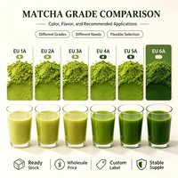 Poudre de Matcha Pure Marque Blanche OEM ODM Qualité Alimentaire Vrac 30g Emballage Personnalisé Logo Boisson Saine Durée de Conservation 12 Mois Revente