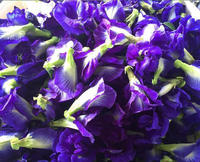 Natürliches Pigmentblau in Großmengen, Blumenextrakt-Rohstoff, Schmetterlingserbsenblüten-Pulver