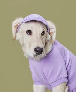 قبعة بيسبول للكلاب قبعات حيوانات أليفة رياضية للأنشطة الخارجية قبعة الكلاب قبعة قماشية مع فتحة للأذن قبعات حيوانات أليفة عصرية قابلة للتعديل مع شعار العلامة التجارية - Product Image 2