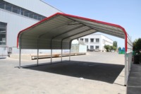 Abri de stationnement pour voiture M202010