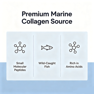 <span class=keywords><strong>Collagène</strong></span> <span class=keywords><strong>marin</strong></span> en <span class=keywords><strong>poudre</strong></span>, marque privée OEM, 227 g, avec vitamine C, acide hyaluronique, pour l'éclat de la peau et le soutien articulaire - Product Image 4