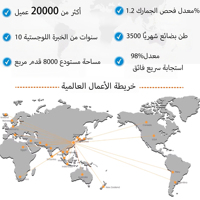 Service de logistique aérienne CIF pour le transport de fret vers l'aéroport international de Dubaï aux Émirats arabes unis – Transit rapide et sécurisé