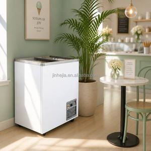 Congelatore orizzontale piccolo OEM con marchio personalizzabile, con ripiani regolabili per <span class=keywords><strong>gelateria</strong></span> e dessert surgelati - Product Image 2