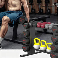 Ensemble d'haltères en fer moderne avec support et étagères de rangement pour kettlebells, pour la salle de sport et la maison