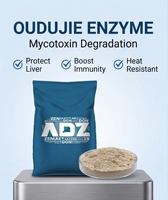 Matière première alimentaire anti-mycotoxine de qualité granulée, résistante à la chaleur, pour la protection de la reproduction et de la santé intestinale, dégradé de zéaralénone