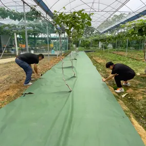USA ASTM D5261 Series Synthetic PLC Horticultural Agriculture Black White Green Geotechnical Biodegradable Mulch Film