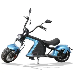 Scooter électrique citycoco à 2 roulettes 1500w, batterie de 60v, 30ah, entrepôt au pays-bas, certificat de conformité cee